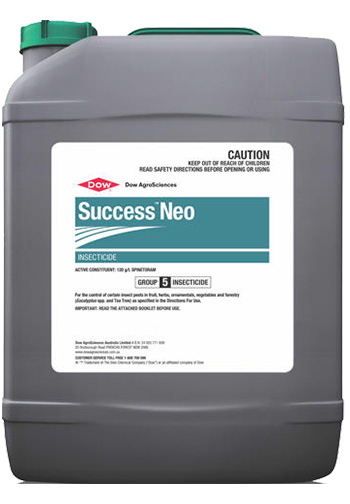 Success Neo