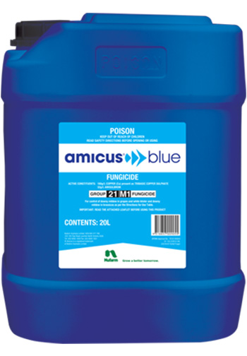Amicus Blue